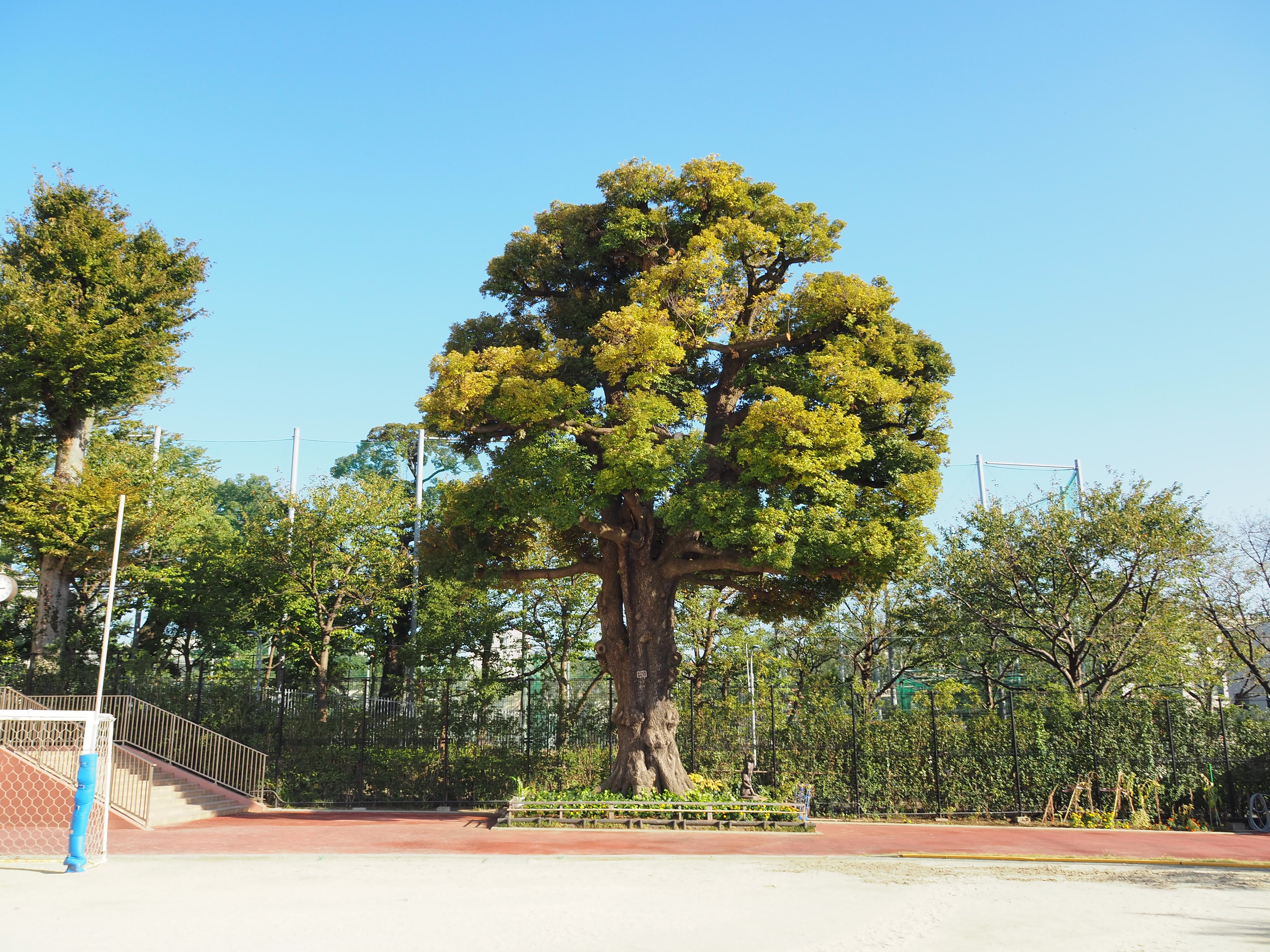 聖学院小学校