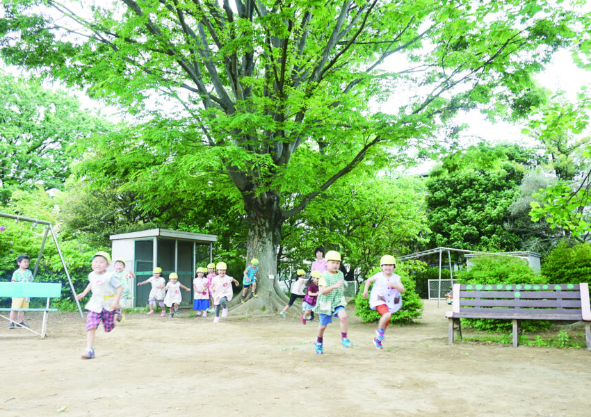 欅、百合の木、クヌギの大木がそびえる園庭では子供たちが縦横無尽に走り回っています。