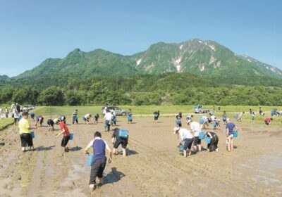 新潟県糸魚川各地区の家庭にホームステイして、聖学院の森の植林作業や田植えなどを体験する宿泊行事。生徒が自分たちで現地の知識を深め、問いをたて、課題解決に挑戦します。