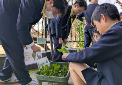 昨年の様子　コミュニティの庭見学